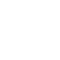 namma icon p
